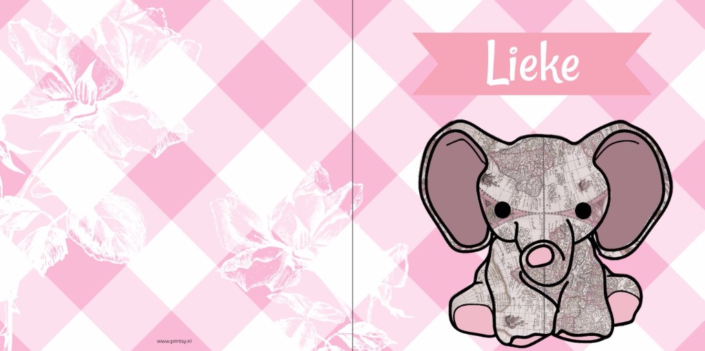 Geboortekaartje met baby olifant en rozen